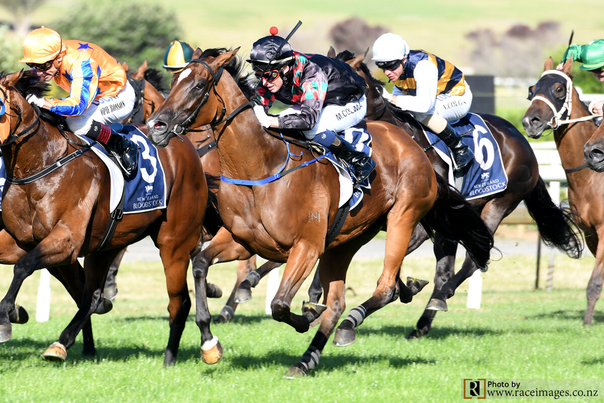 Richardson Racing Stables Graham Richardson Training Excellence